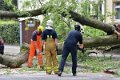 Feuerwehr_Baum   005